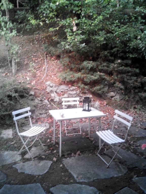 B&B Le Ortensie -Lago Di Como Lierna Exterior foto